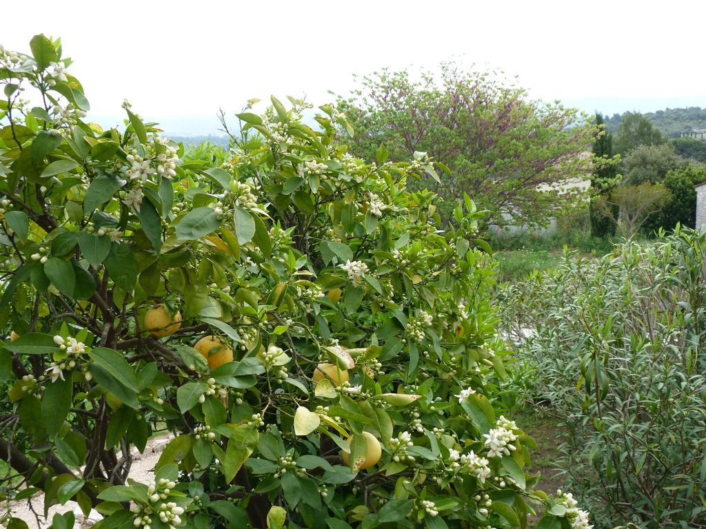 La Bastide Des Senteurs Peymeinade Bagian luar foto